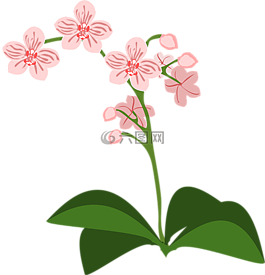 剪贴画,弗洛尔,植物区系