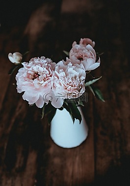 木,表,花
