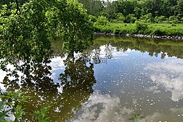 倒影,绿色,水面