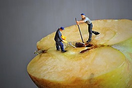 微小的人,苹果的核心,苹果一半