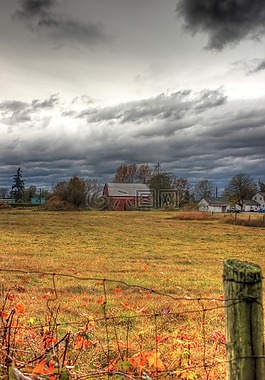 红色,谷仓,国家