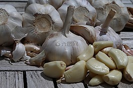 大蒜,食品,洋葱