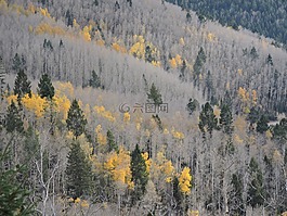 秋,santa fe,fe