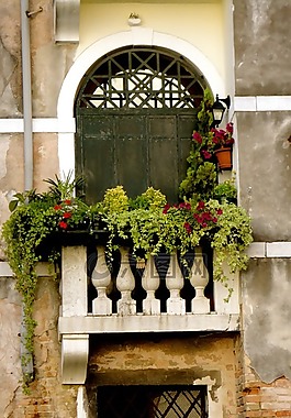 窗口,威尼斯人,鲜花