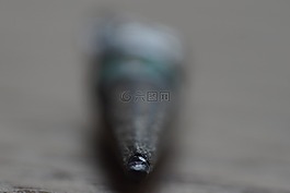 铅,铅笔,给