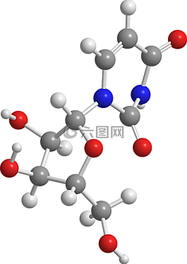 尿,核酸,化学