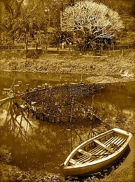 船,河,河岸