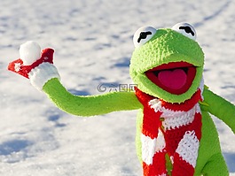 柯,青蛙,雪球