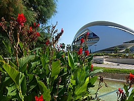 花园,图里亚,valencia