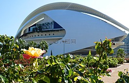 valencia,图里亚,花园