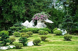 老石,鸟形,鲜花