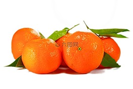 橘子,柑橘,柑橘类水果