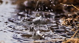 雨,降雨,春