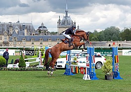 得知,跳转,显示跳跃