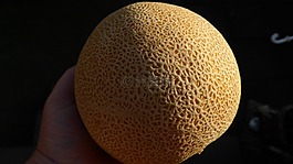 电源瓜,瓜,水果