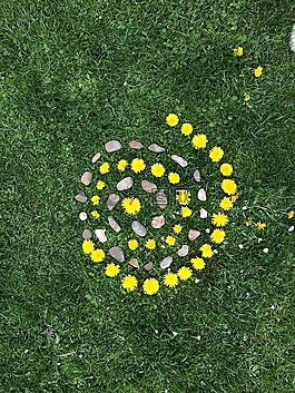 土地的艺术,儿童,鲜花