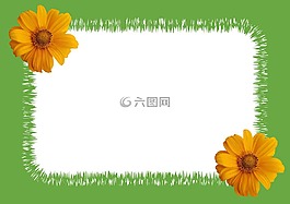 向日葵,锯齿形的照片,帧