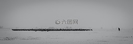 雪,冬天,牧羊人