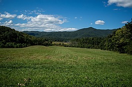 公园,山,自然