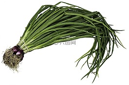 蔬菜,维生素,饮食