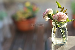 鲜花,康乃馨,花瓶