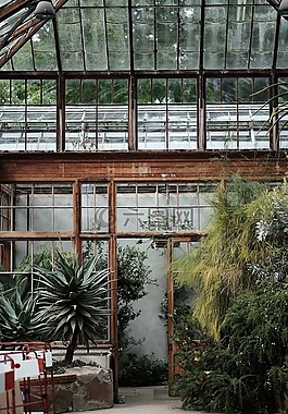 温室,结构,植物