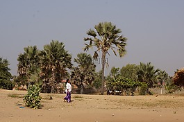 女子,海滩,palmtree