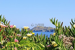 科西嘉,海,侧