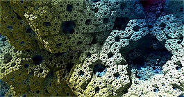 数学学科,分形,世界