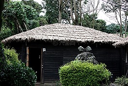 草屋,房子,文物