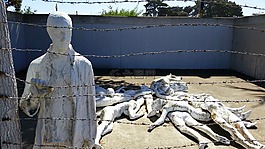 荣誉军团勋章,装置艺术,西海岸