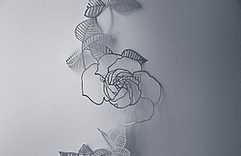 白,墙,花