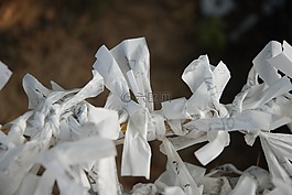 韩国传统,经典,节日