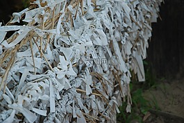 无稽之谈,西塘,希望