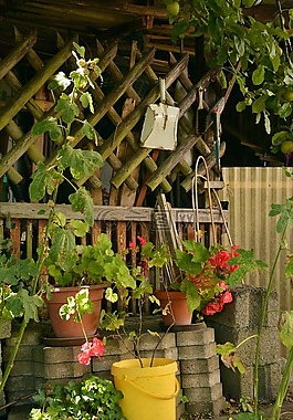 配发,田园花园,花园