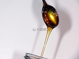 蜂蜜,蜂蜜北斗星,花蜜