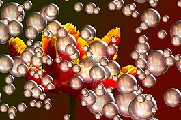 球,郁金香,红色黄色