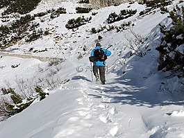 徒步旅行,雪,步行