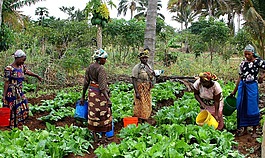 迈,坦桑尼亚,妇女