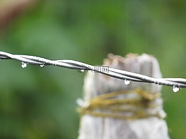 雨,亮点,性质