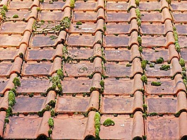 老屋顶,屋顶瓦,谷仓