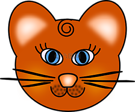 猫,头,脸