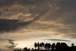 天空,日落,palmtree