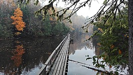 莫里西,公园,湖