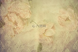 玫瑰,年份,手写