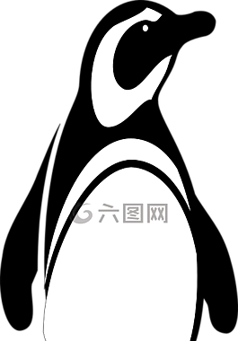 企鹅,王企鹅,可爱