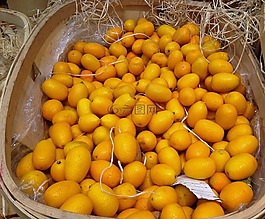 柑橘,金橘,水果