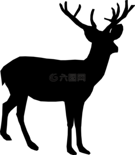鹿,动物,鹿茸
