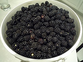 红色水果,黑莓,集合