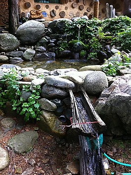 池塘,花卉园,韩屋